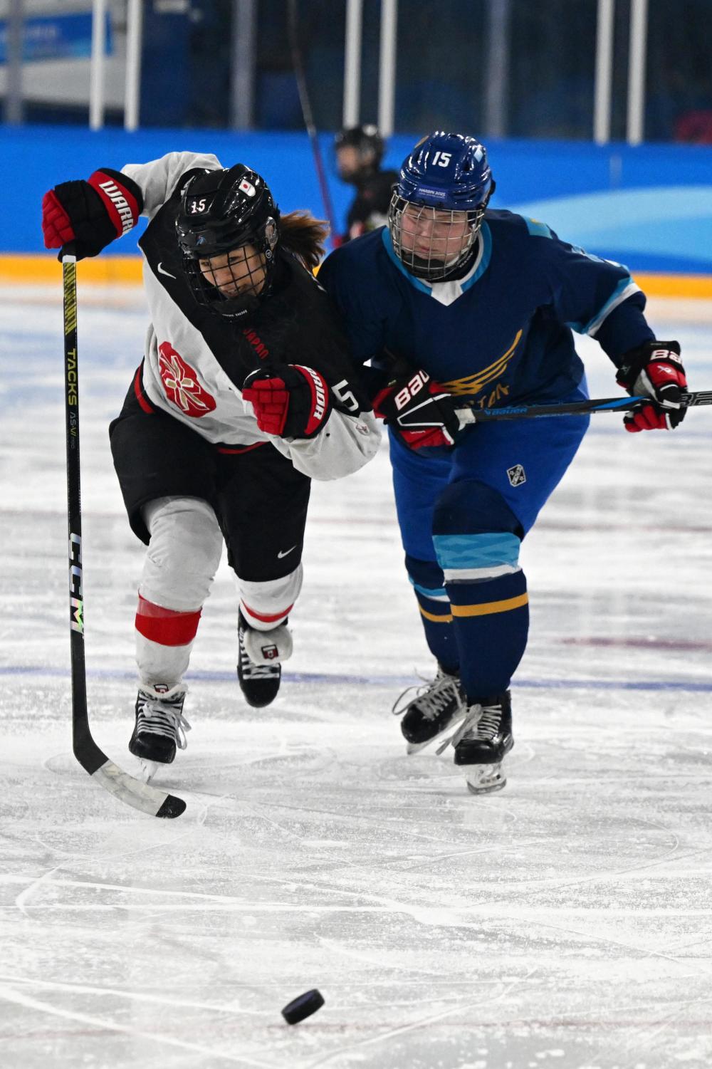 半岛体育亚洲官网-冰岛运动员打破记录，成为焦点