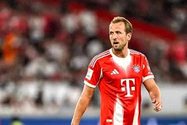 半岛体育网页版入口-拜仁慕尼黑全队遭遇伤病潮，前景堪忧的简单介绍