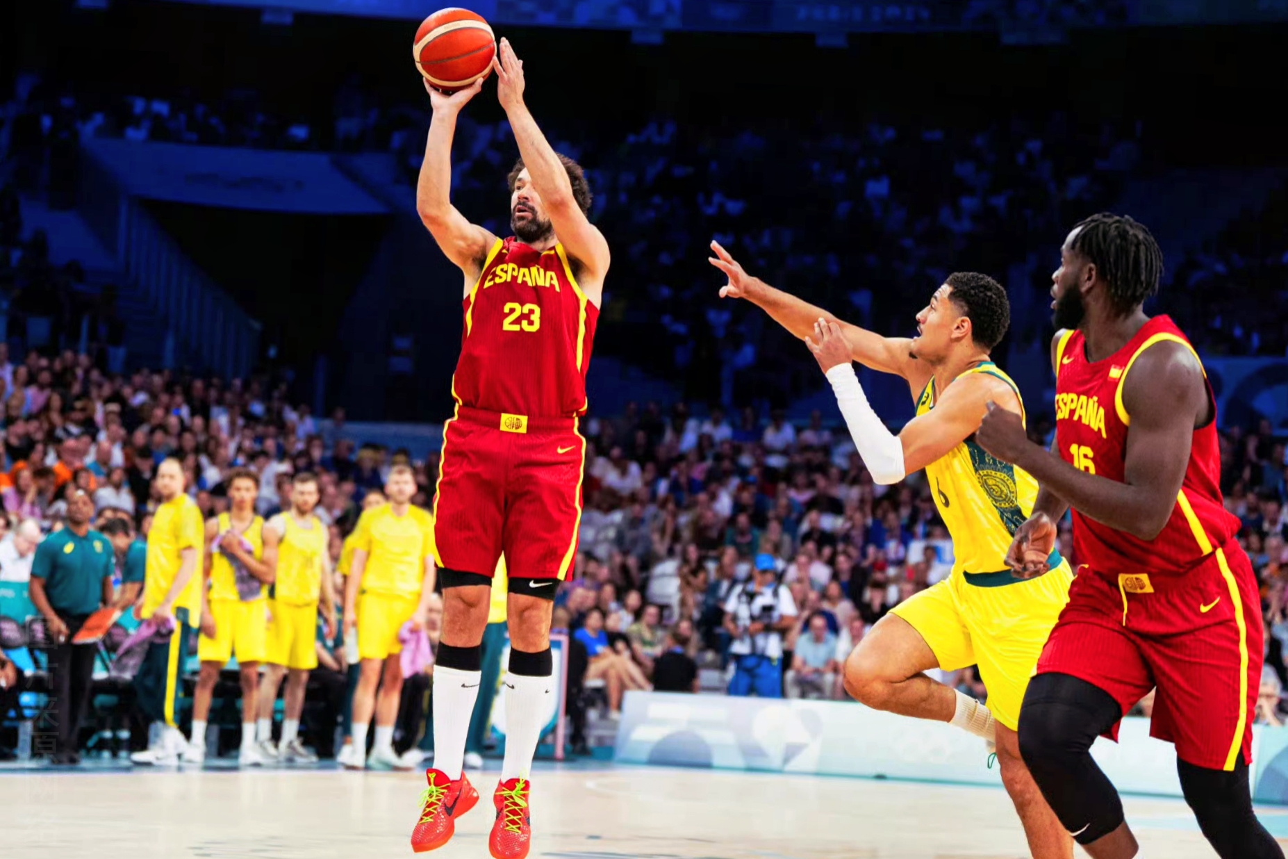 澳大利亚篮球联赛季后赛火爆开赛 澳大利亚篮球联赛季后赛火爆开赛